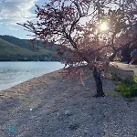Mobilna Kucica Neda - Grebastica, Kamp Vala Kemping